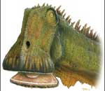 第二个太阳系现身